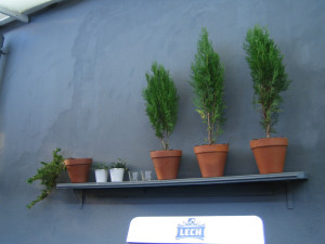 wall-houseplant