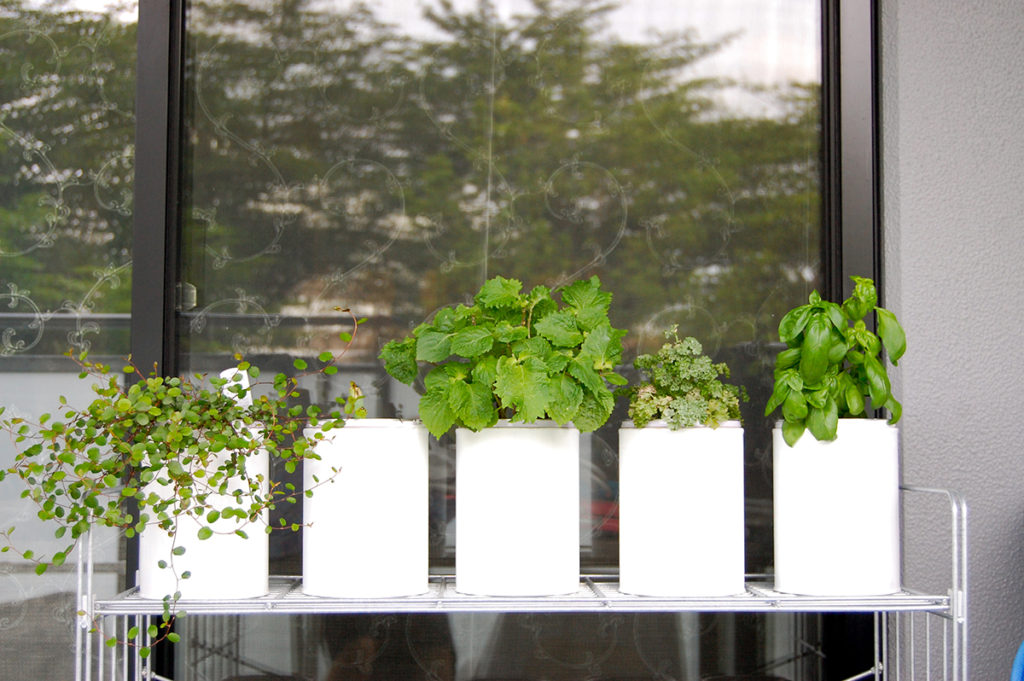 □ベランダガーデニングのコツは「高さでボリュームを出す」事